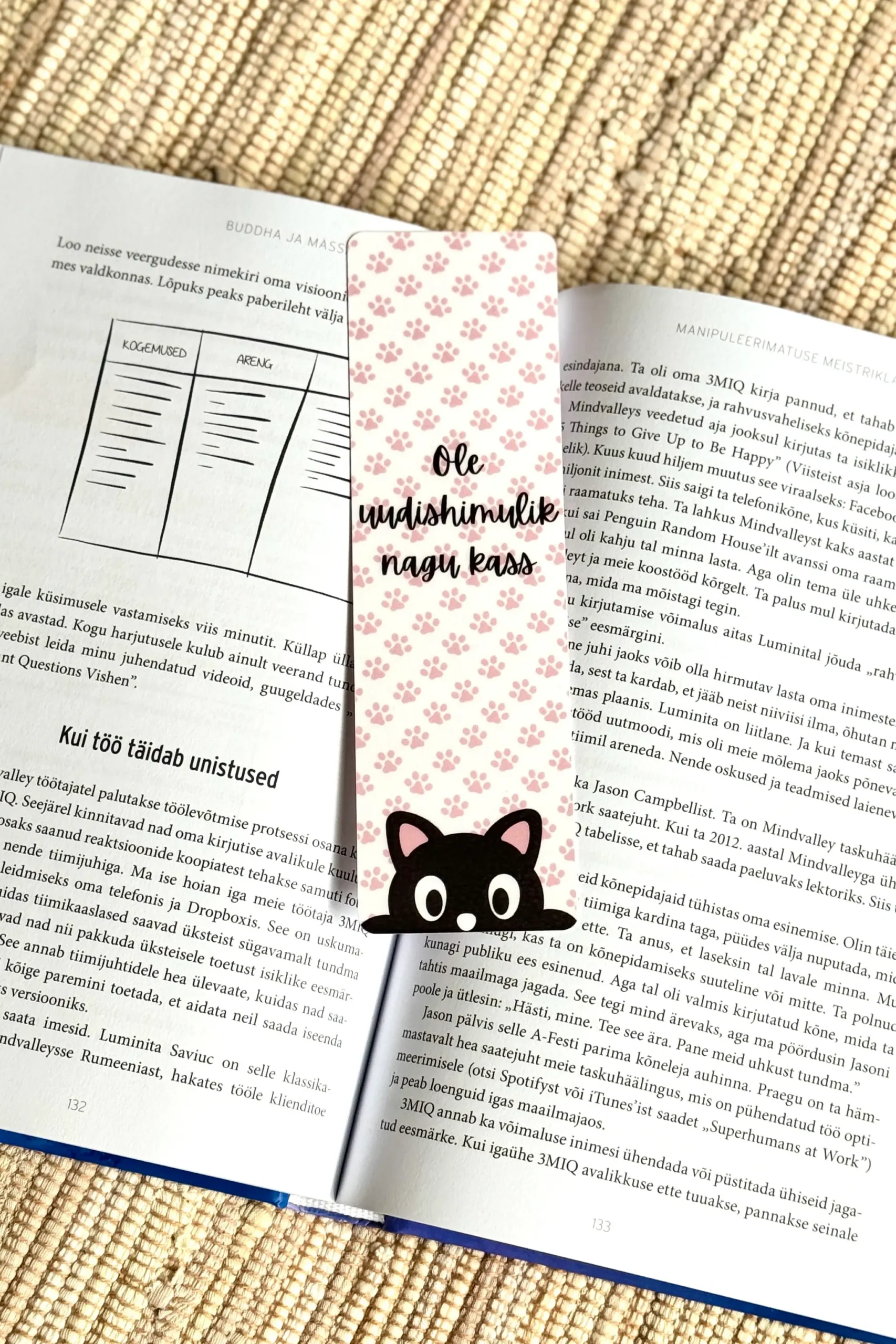 järjehoidja Ole uudishimulik nagu kass