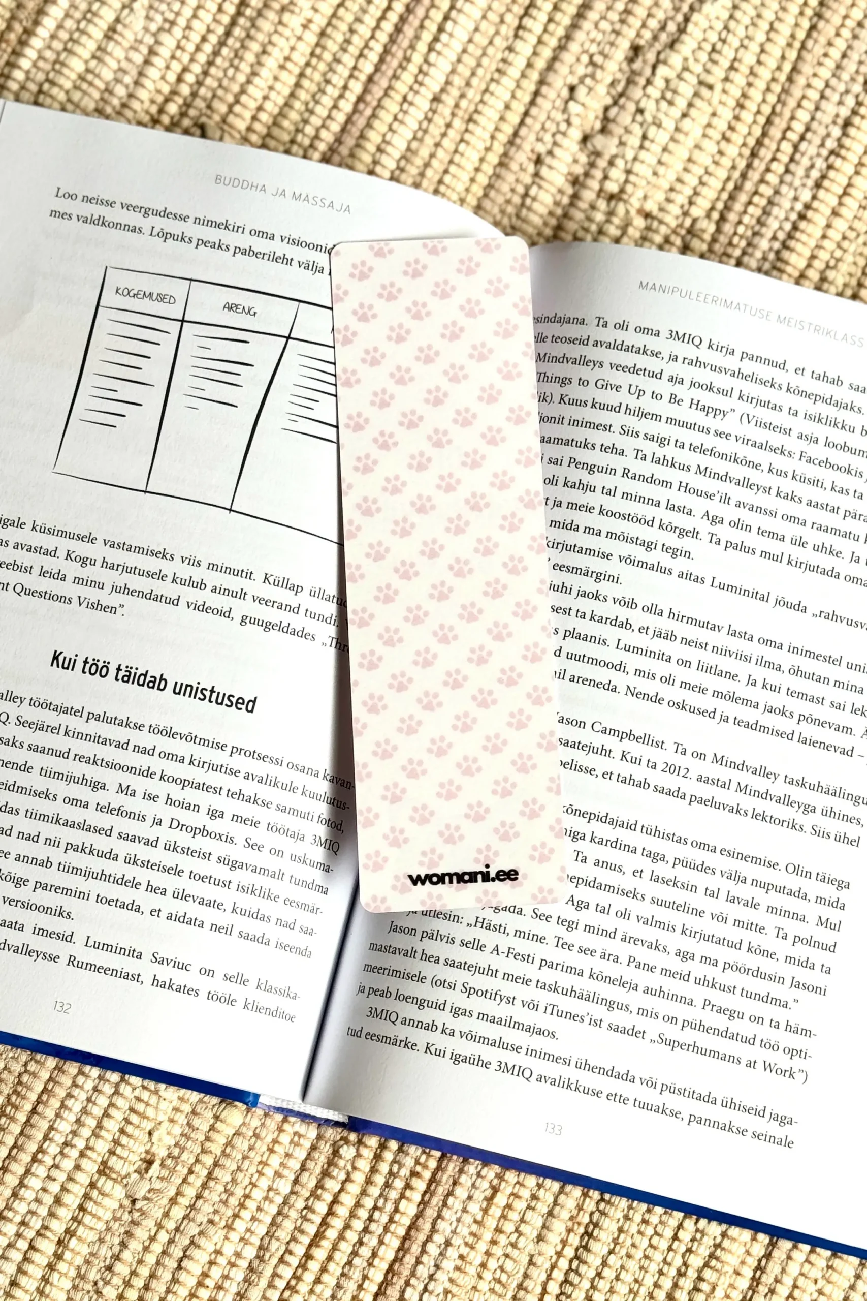 järjehoidja Ole uudishimulik nagu kass