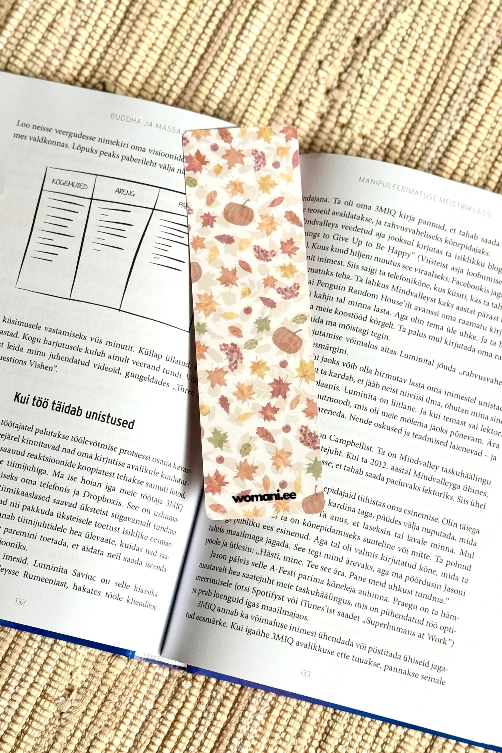 järjehoidja Üks peatükk veel