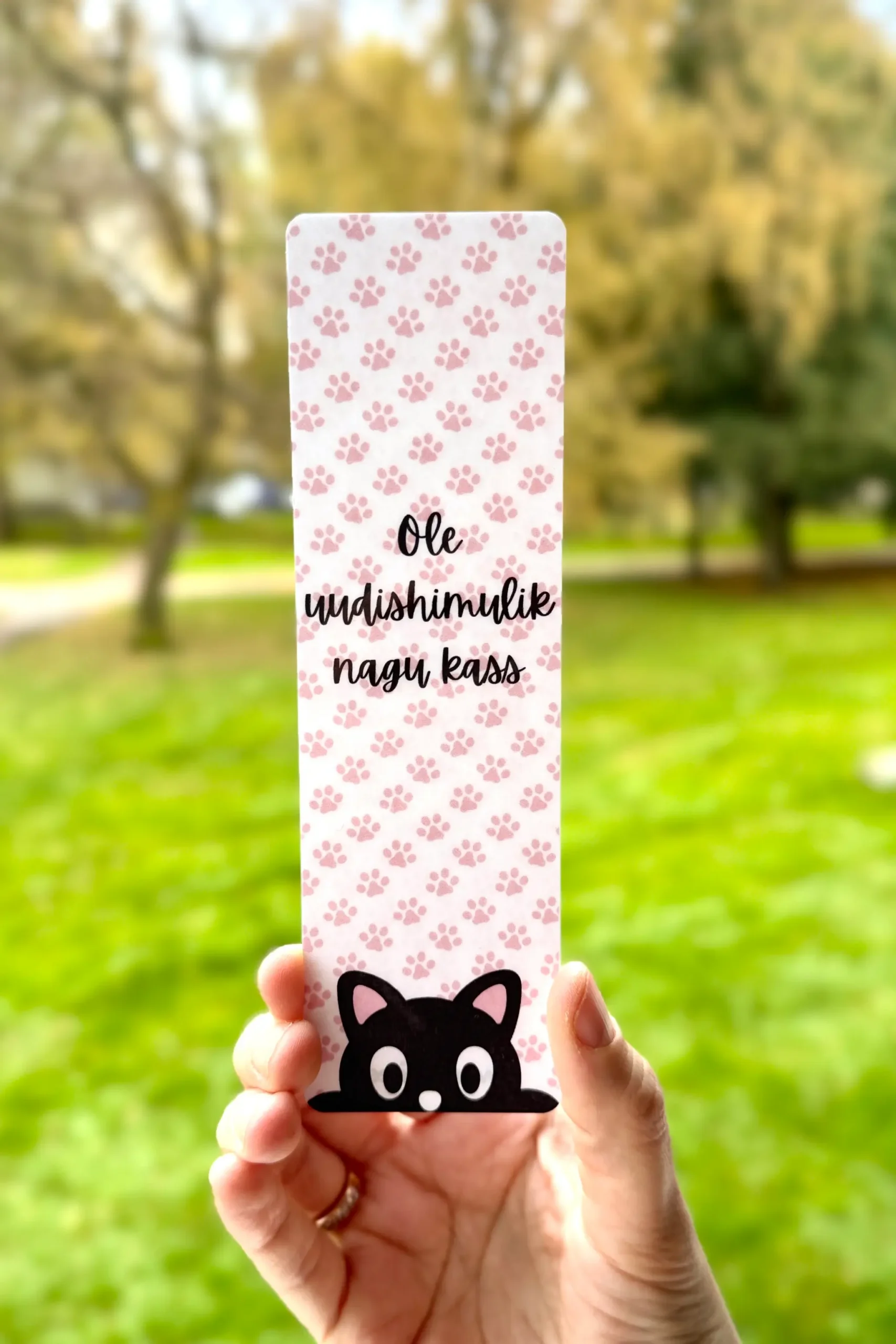 järjehoidja Ole uudishimulik nagu kass